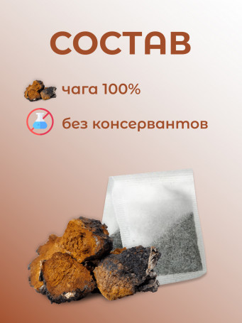 Натуральный растительный чай "Чага" №20 в фильтр-пакетах. Дары Байкала