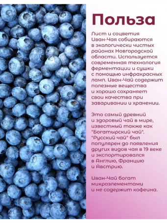 Иван-чай «Горчаковский» с черникой 20 пакетиков