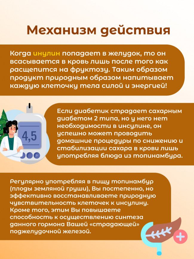 Топинамбур порошок 100 гр