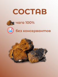 Натуральный травяной чай "Чага" Дары Байкала 100 гр.