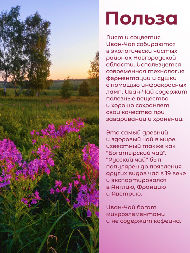 Иван-чай "Горчаковский" ферментированный, гранулированный в фильтр-пакетах, набор 3 штуки Иван-чай "Горчаковский" ферментированный, гранулированный в фильтр-пакетах, набор 3 штуки