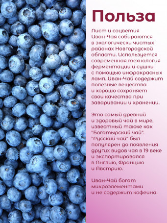 Иван-чай "Горчаковский" черника ферментированный в фильтр-пакетах, набор 3 штуки