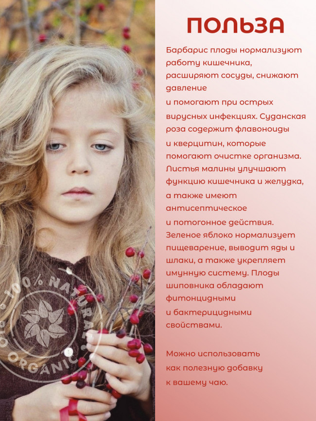 Натуральный ягодный чай "Барбарис" 50 гр Натуральный ягодный чай "Барбарис" 50 гр