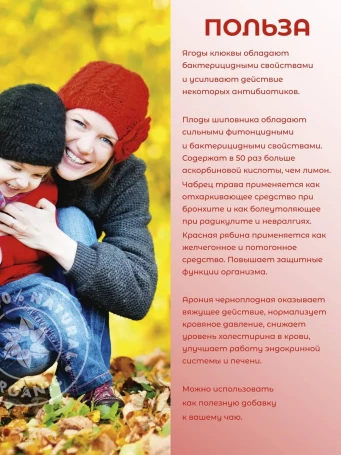 Чай ягодный Клюквенный 50 г