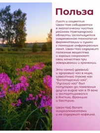 Иван-чай «Горчаковский» гранулированный 40 г