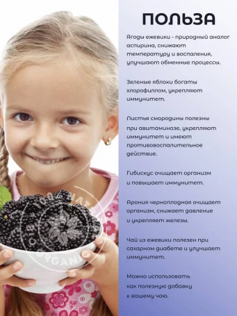 Чай ягодный Ежевика 50 г