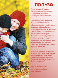 Натуральный ягодный чай "Клюквенный" 50 гр