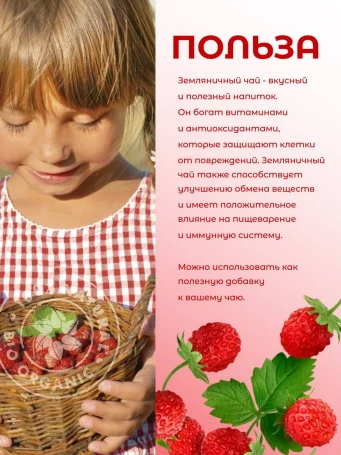 Чай ягодный Земляничный 50 г