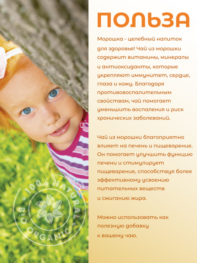 Натуральный ягодный чай "Морошка" 50 гр. Натуральный ягодный чай "Морошка" 50 гр.