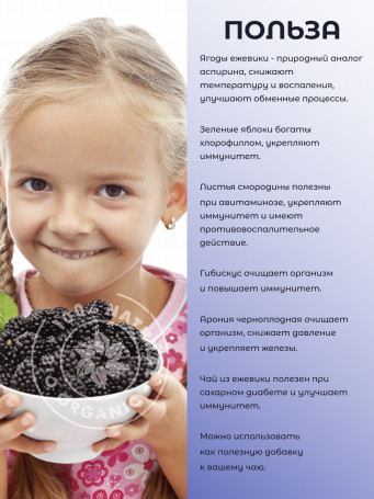 Натуральный ягодный чай "Ежевика" в фильтр-пакетах, набор 3 штуки