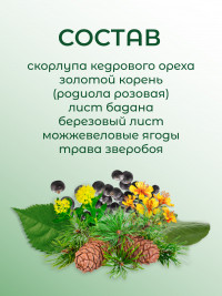 Чай бальзам "Таежный" 50 гр