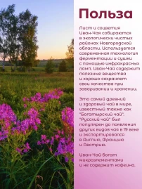Иван-чай «Горчаковский» с лепестками роз 30 г