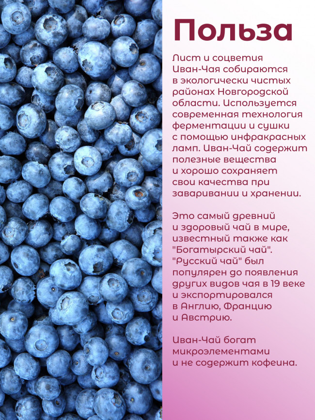 Иван-чай "Горчаковский" черника ферментированный в фильтр-пакетах Иван-чай "Горчаковский" черника ферментированный в фильтр-пакетах