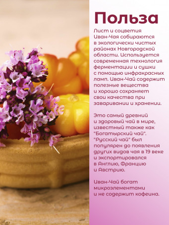 Иван-чай "Горчаковский" морошка ферментированный в фильтр-пакетах