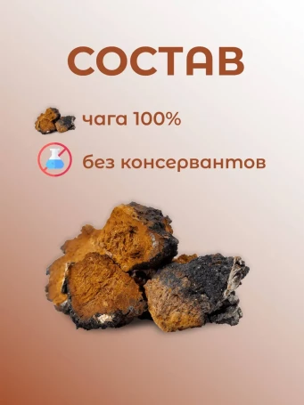 Чага чай натуральный Дары Байкала 100 г