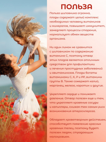Натуральный ягодный чай "Шиповник" в фильтр-пакетах, набор 3 штуки