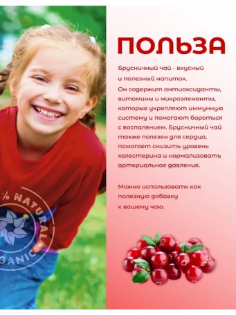 Чай ягодный Брусничный 20 пакетиков