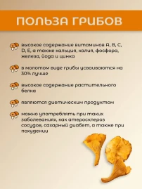 Грибной соус сухой Лисичка 75 г