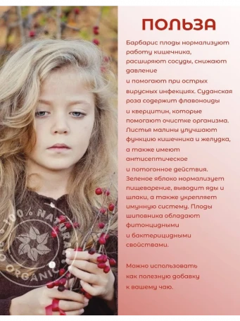 Чай ягодный Барбарис 20 пакетиков