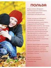 Чай Клюквенный 20 пакетиков