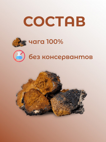 Натуральный травяной чай "Чага" Дары Байкала 100 гр.