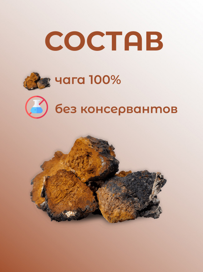 Натуральный травяной чай "Чага" Дары Байкала 100 гр. Натуральный травяной чай "Чага" Дары Байкала 100 гр.