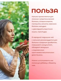Чай Калина 20 пакетиков