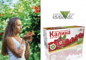 Натуральный ягодный чай "Калина" в фильтр-пакетах