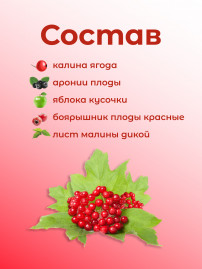 Натуральный ягодный чай "Калина" в фильтр-пакетах