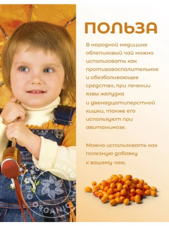 Чай Облепиха 20 пакетиков
