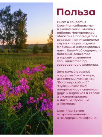 Иван-чай «Горчаковский» 20 пакетиков