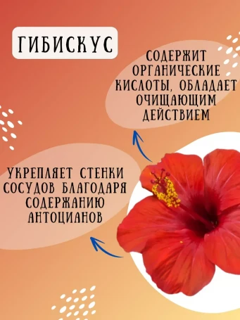 Чай Гавайский 16 саше