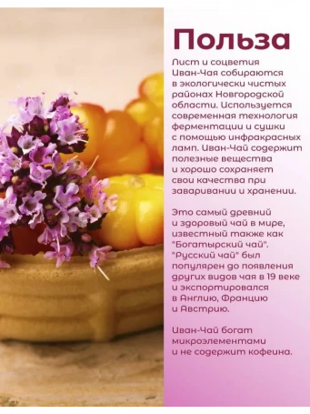 Иван-чай «Горчаковский» с морошкой 20 пакетиков