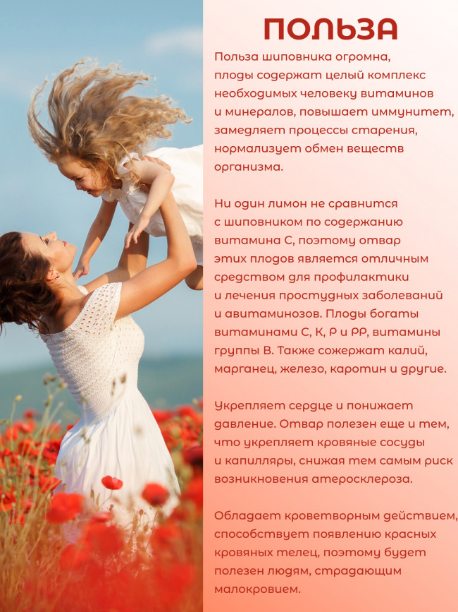 Натуральный ягодный чай "Шиповник" в фильтр-пакетах Натуральный ягодный чай "Шиповник" в фильтр-пакетах