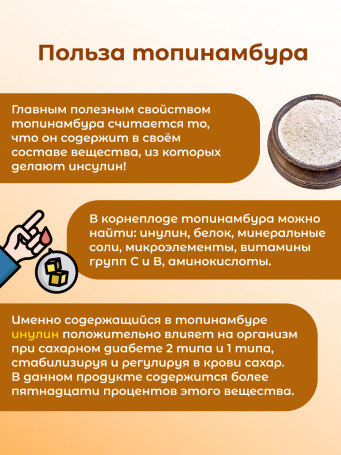 Топинамбур порошок 100гр.