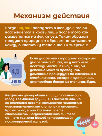 Топинамбур порошок 100гр.