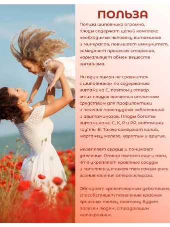 Ягодный чай Шиповник 20 пакетиков
