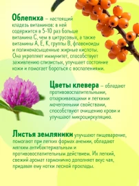 Чай Облепиховый 16 фильтр-пакетов